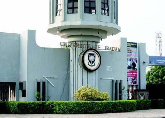 Protesters Demand Withheld Salaries from Federal Government at Uni Ibadan